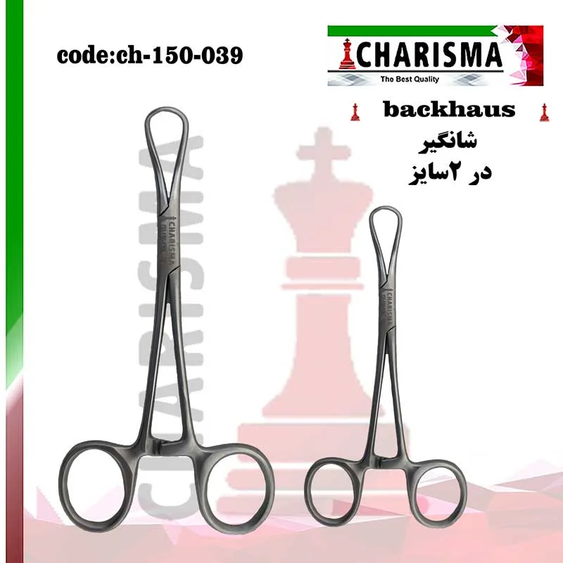 شانگیر کاریزما CHARISMA ( 2سایز )